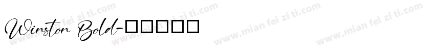 Winston Bold字体转换